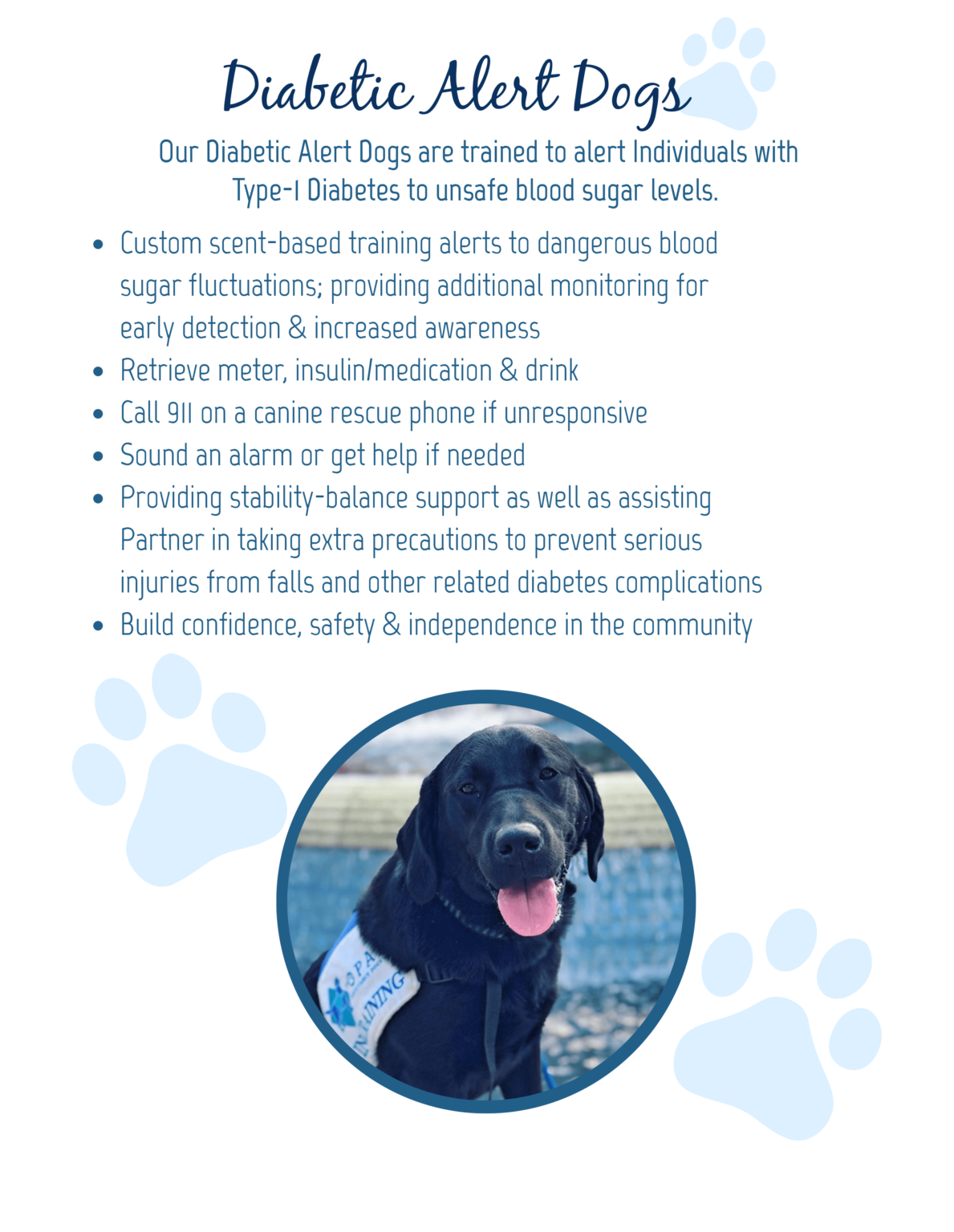 Diabetic Alert Topaz Assistance Dogs INC