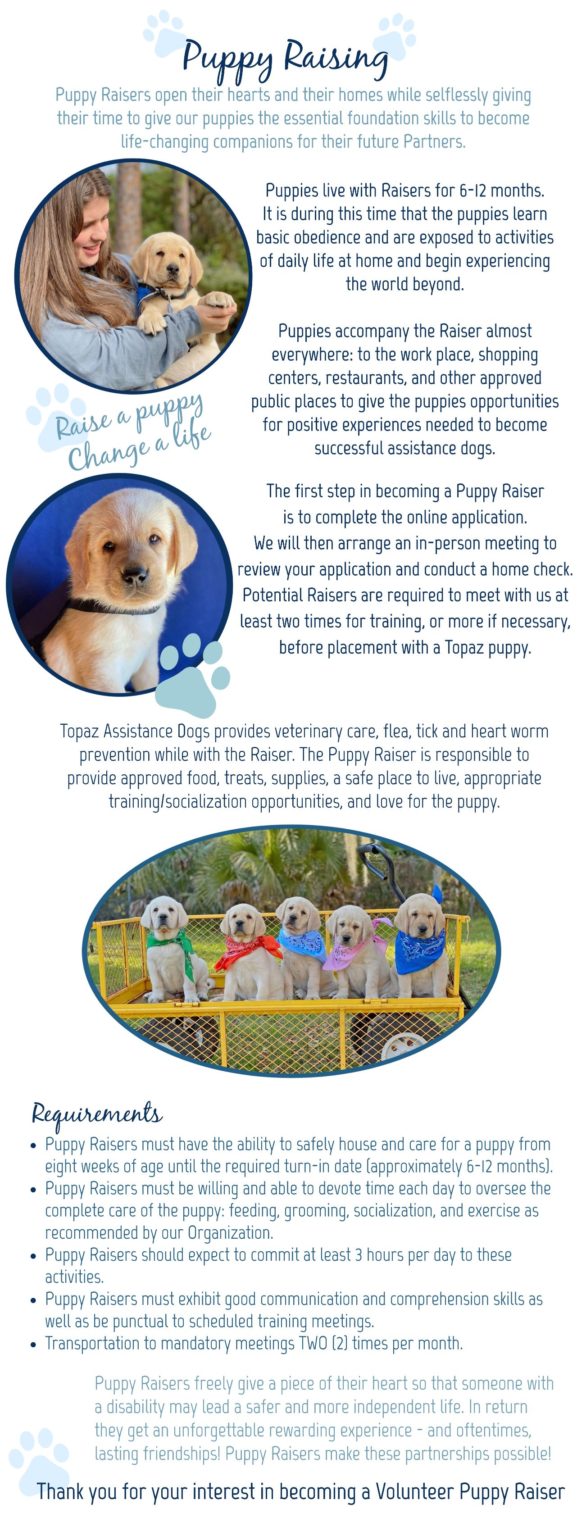 a Puppy Raiser Topaz Assistance Dogs INC